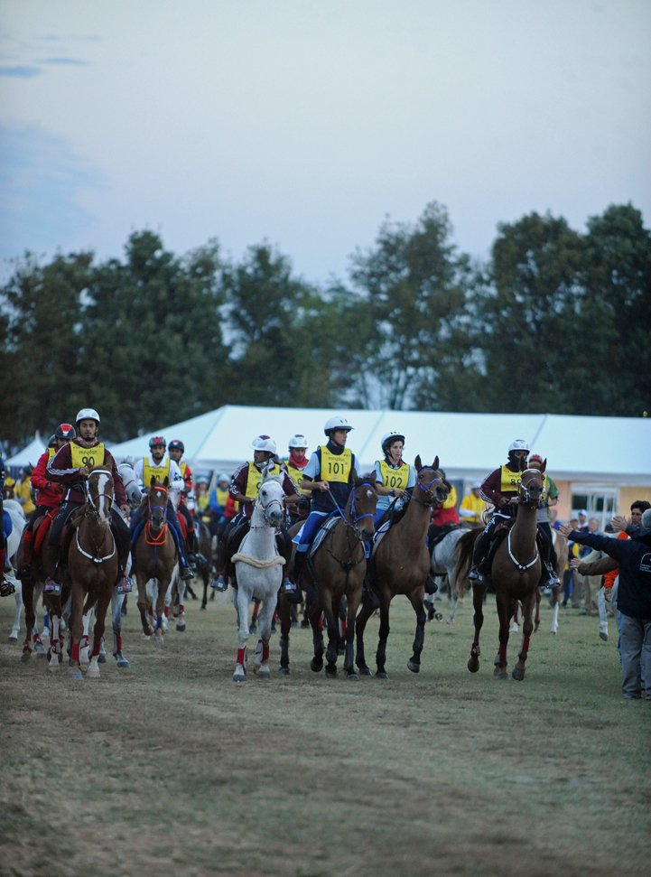 start-line-WEG-endurance_web_0.jpg